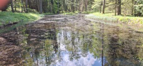 Kompleksowy projekt adaptacji lasów i leśnictwa do zmian klimatu – mała retencja oraz przeciwdziałanie erozji wodnej na terenach nizinnych – kontynuacja (MRN3)